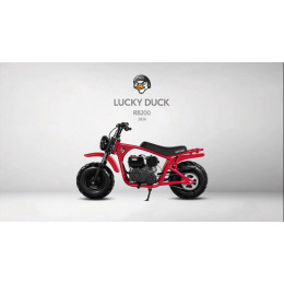 LUCKY DUCK RB200 (2024)